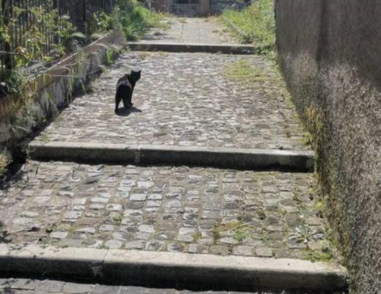 appartamento in vendita a Palestrina