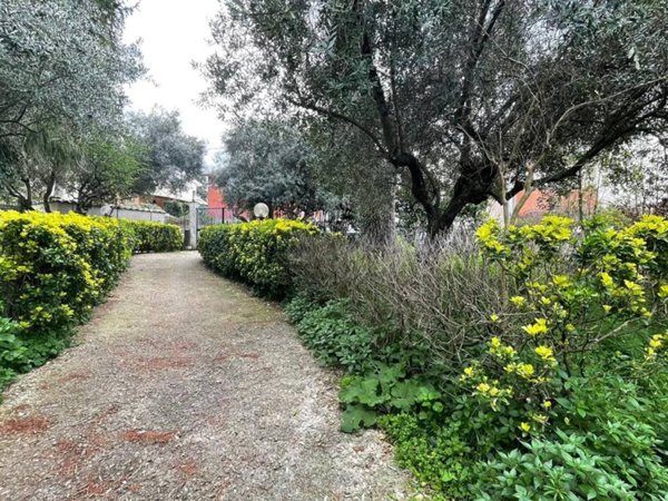 casa indipendente in vendita a Palestrina