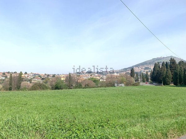 terreno agricolo in vendita a Palestrina