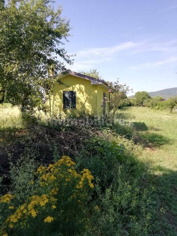 appartamento in vendita a Palestrina