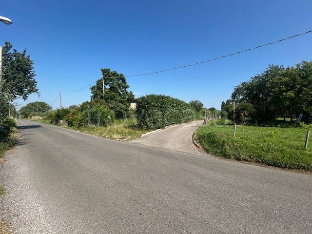 terreno agricolo in vendita a Palestrina