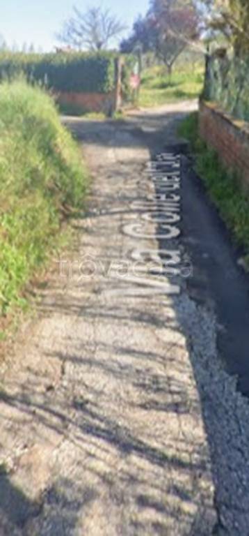 terreno edificabile in vendita a Palestrina