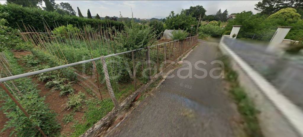 negozio in vendita a Palestrina