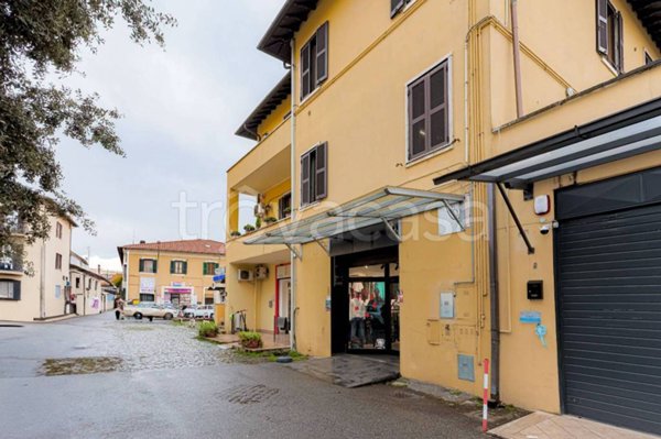 negozio in vendita a Palestrina