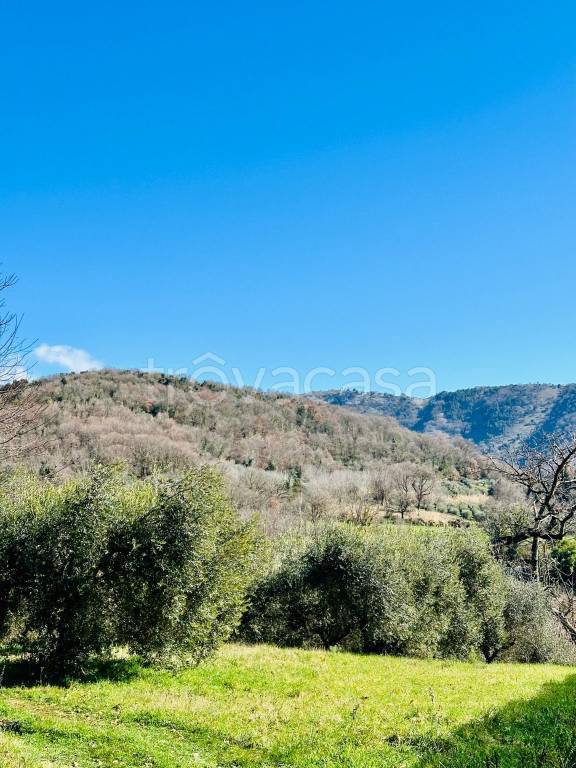terreno agricolo in vendita a Palestrina