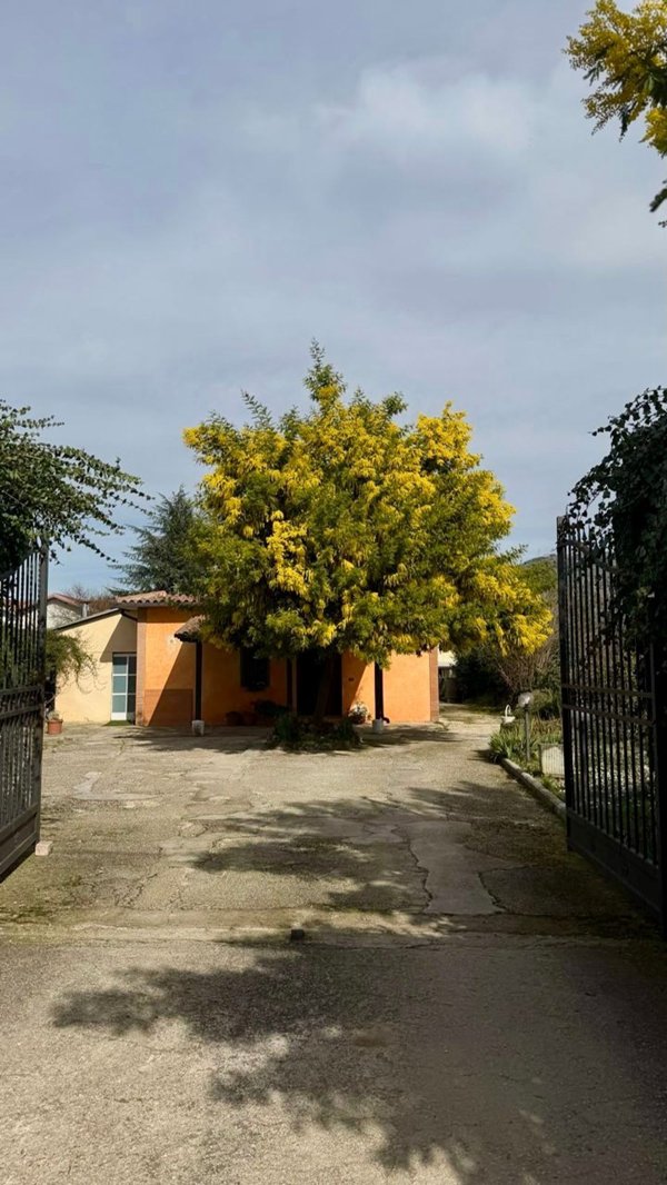 casa indipendente in vendita a Palestrina