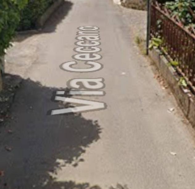 appartamento in vendita a Palestrina