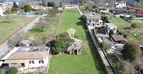 esavano in vendita a Palestrina