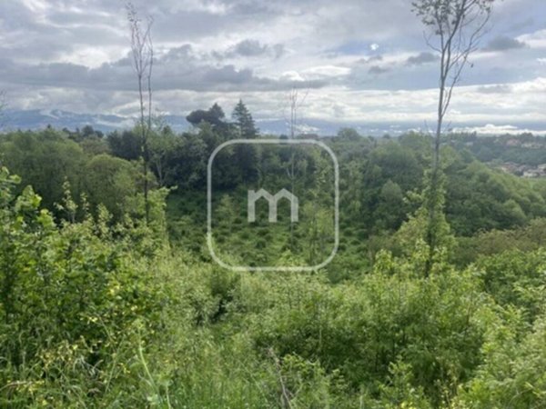 terreno agricolo in vendita a Palestrina in zona Carchitti
