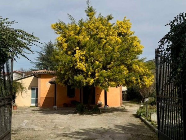 casa indipendente in vendita a Palestrina