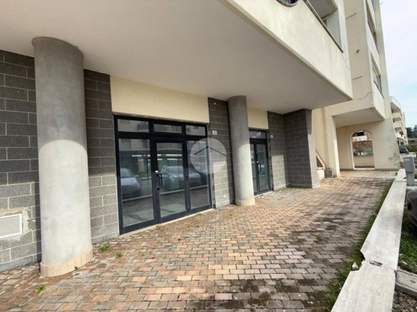 negozio in vendita a Palestrina