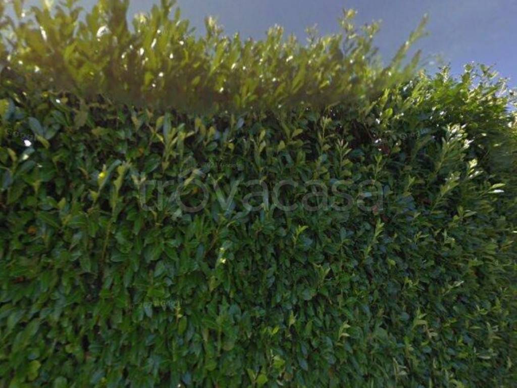 casa indipendente in vendita a Palestrina