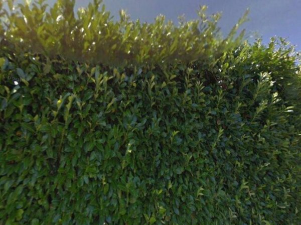 casa indipendente in vendita a Palestrina