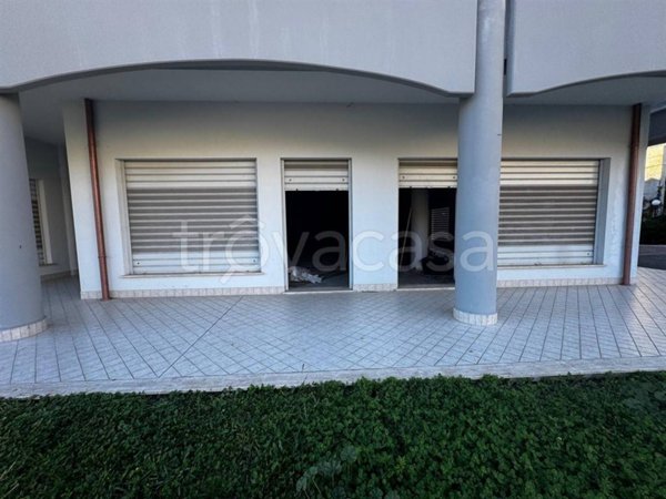 negozio in vendita a Palestrina