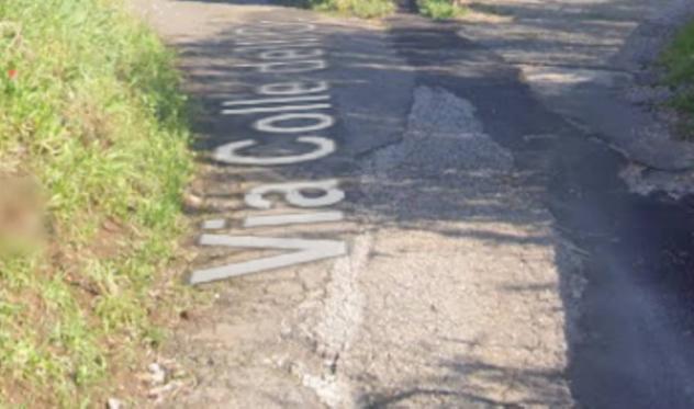 negozio in vendita a Palestrina