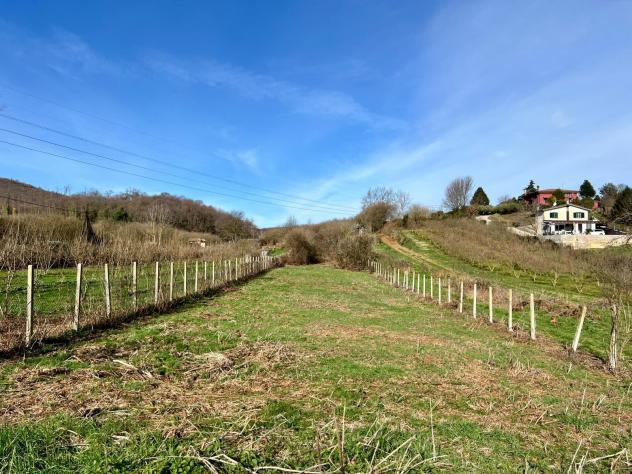 terreno agricolo in vendita a Palestrina