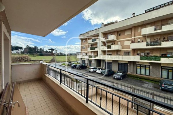 appartamento in vendita a Palestrina