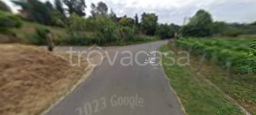 negozio in vendita a Palestrina