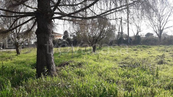 casa indipendente in vendita a Palestrina