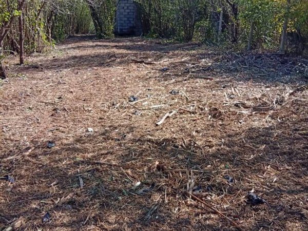 terreno agricolo in vendita a Palestrina in zona Carchitti