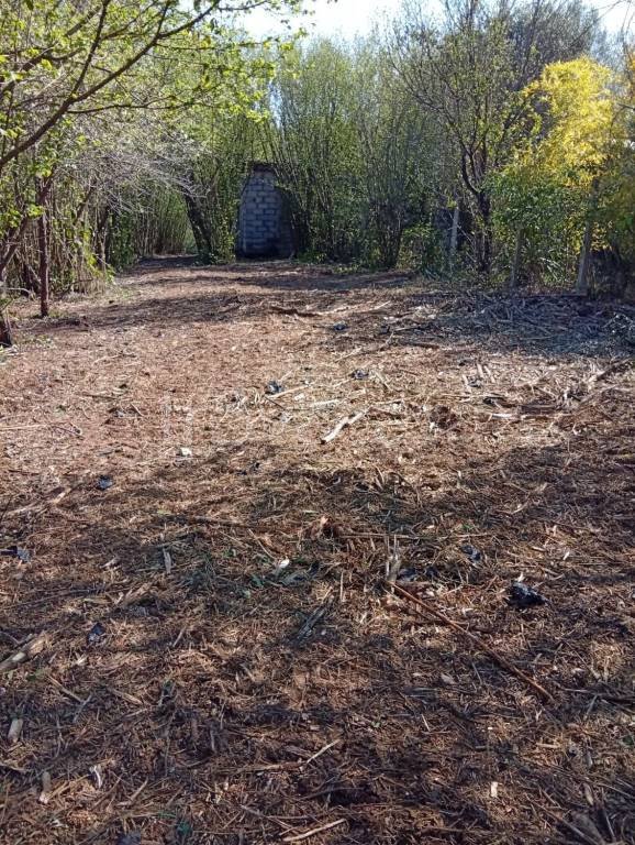 terreno agricolo in vendita a Palestrina in zona Carchitti