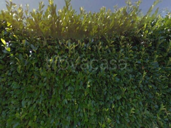 casa indipendente in vendita a Palestrina