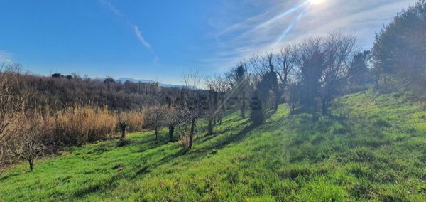 casale in vendita a Palestrina