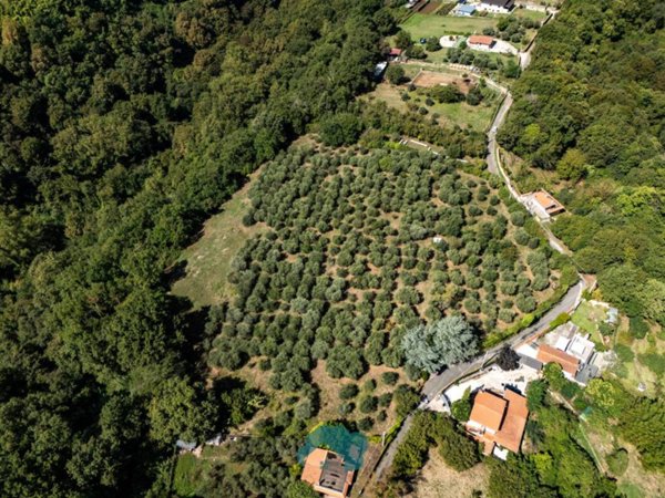terreno in vendita a Palestrina in zona Carchitti
