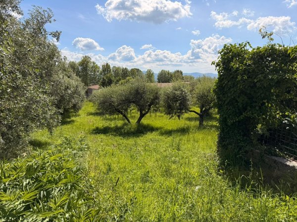 terreno agricolo in vendita a Palestrina