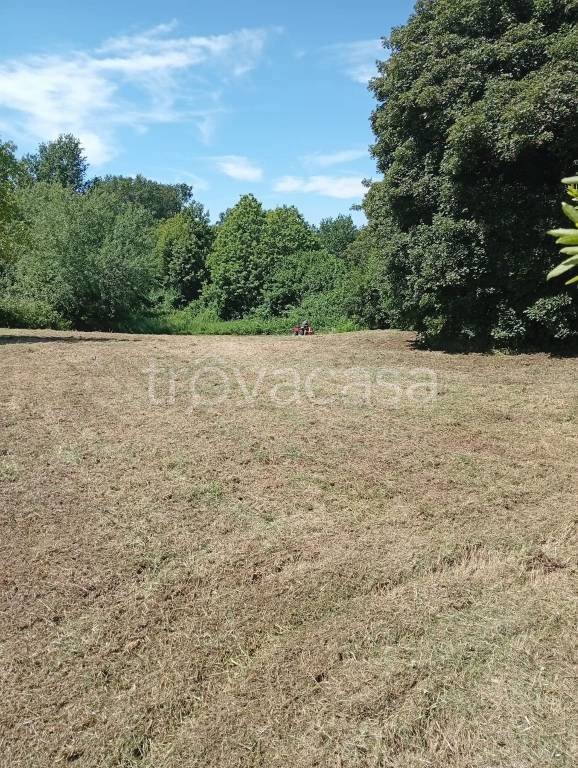 terreno agricolo in vendita a Palestrina