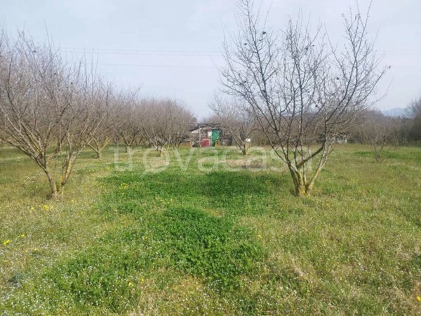 terreno in vendita a Palestrina in zona Carchitti