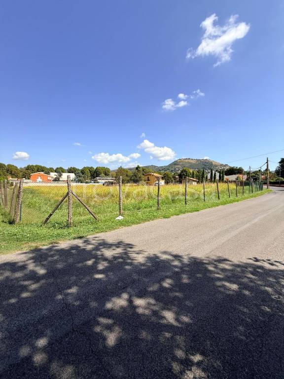 terreno agricolo in vendita a Palestrina