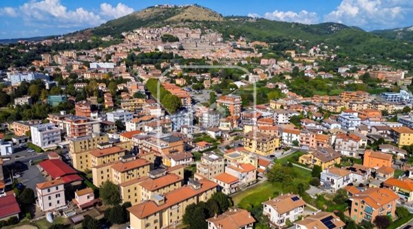 appartamento in vendita a Palestrina