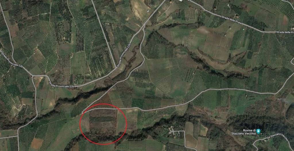 terreno agricolo in vendita a Palombara Sabina