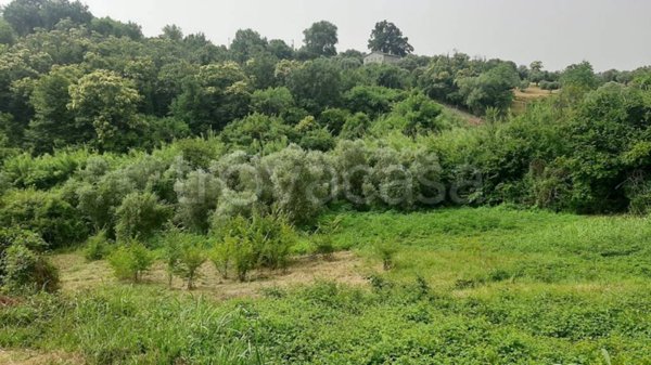terreno agricolo in vendita a Palombara Sabina
