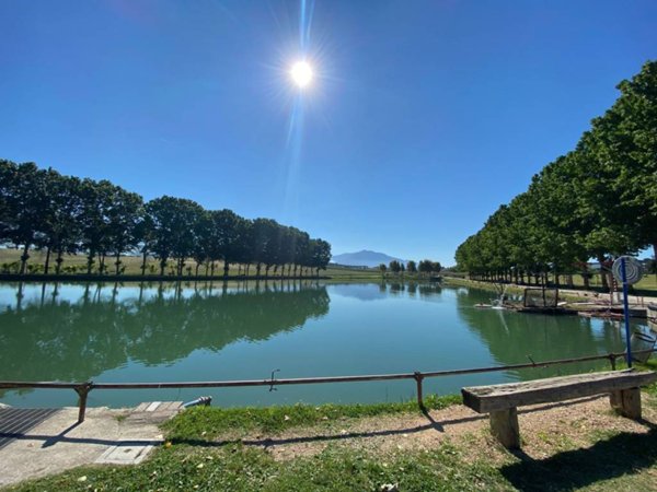terreno agricolo in vendita a Palombara Sabina