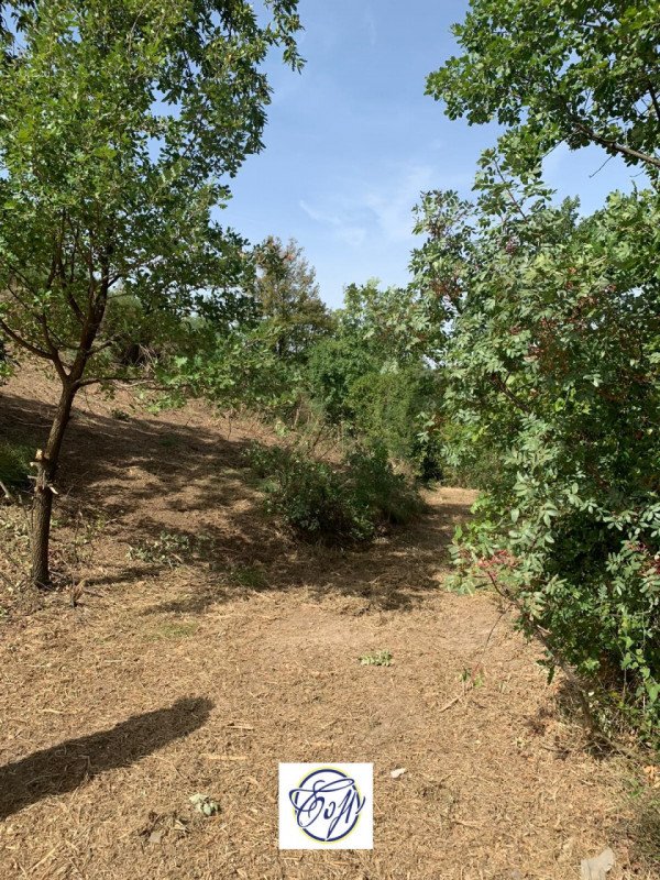 terreno agricolo in vendita a Palombara Sabina