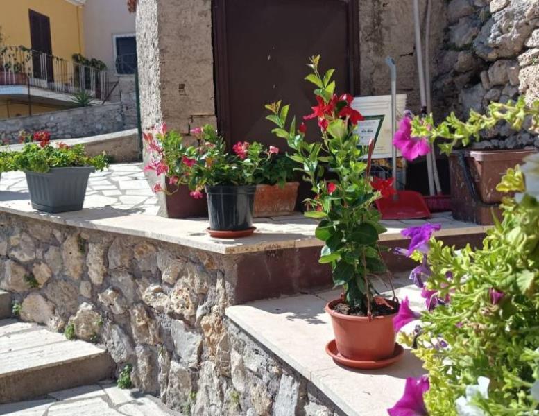 appartamento in vendita a Palombara Sabina