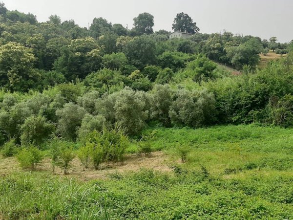 terreno agricolo in vendita a Palombara Sabina