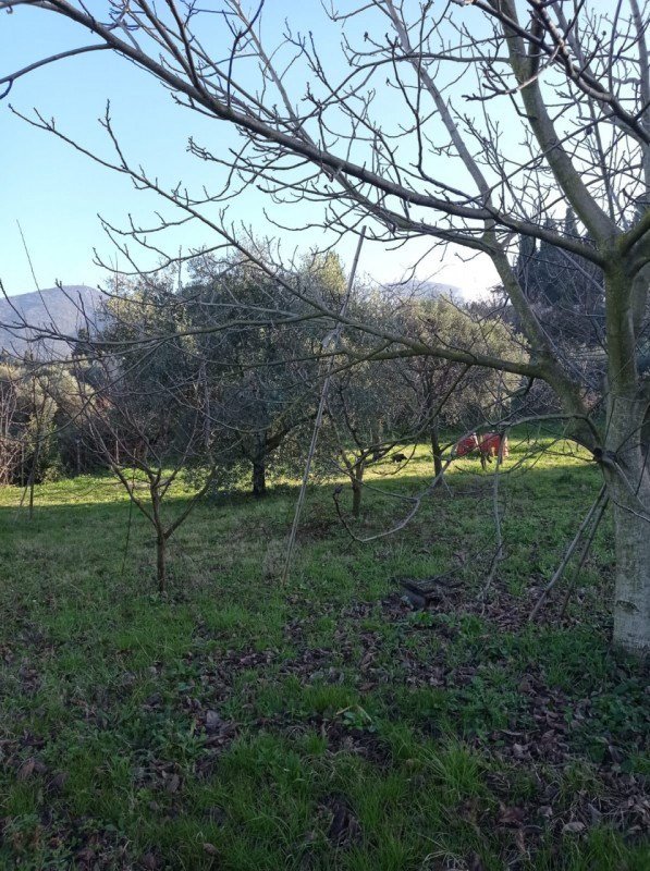 terreno agricolo in vendita a Palombara Sabina