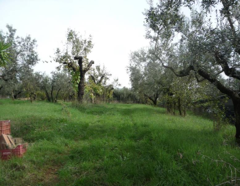 locale commerciale in vendita a Palombara Sabina
