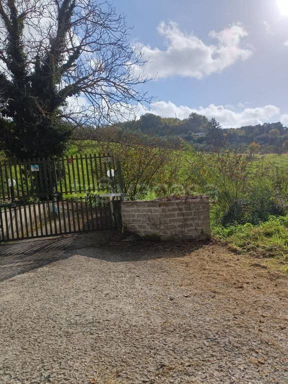 terreno agricolo in vendita a Palombara Sabina