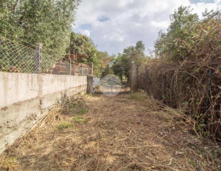 casa indipendente in vendita a Palombara Sabina