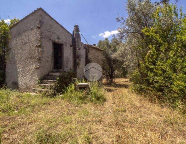 casa indipendente in vendita a Palombara Sabina