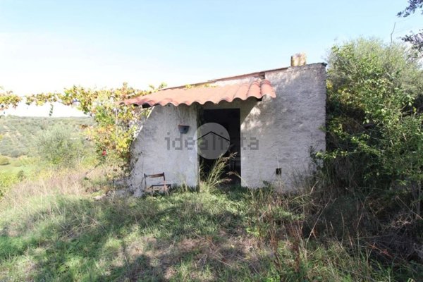 appartamento in vendita a Palombara Sabina