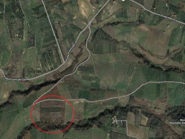 terreno agricolo in vendita a Palombara Sabina