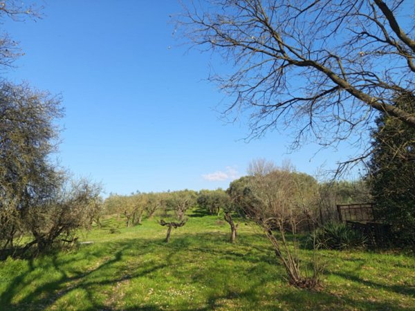 terreno agricolo in vendita a Palombara Sabina