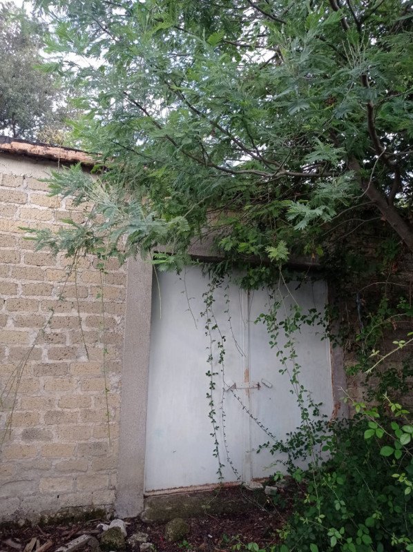 terreno agricolo in vendita a Palombara Sabina