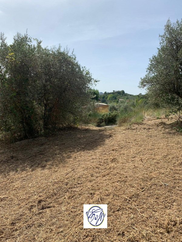 terreno agricolo in vendita a Palombara Sabina