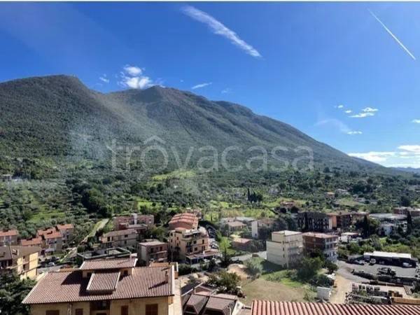 appartamento in vendita a Palombara Sabina